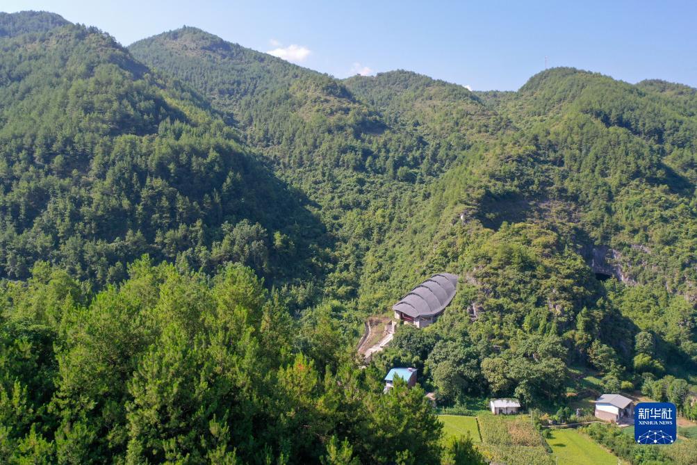 永利菠菜排名